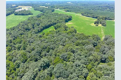 1455 Blonnie Ross Road, Polkton, NC 28135 - Photo 13