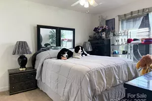 4046 W Fairmeadow Dr, Lancaster, SC 29720 - Photo 19