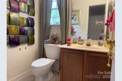 4046 W Fairmeadow Drive, Lancaster, SC 29720 - Photo 9