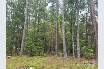 00 Johnny Williams Road #5, Kershaw, SC 29067 - Photo 5