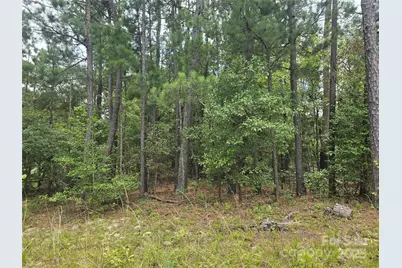 00 Johnny Williams Road #5, Kershaw, SC 29067 - Photo 3