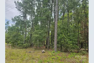 00 Johnny Williams Road #5, Kershaw, SC 29067 - Photo 1