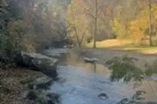 530 Rebel Ridge Rd, Marshall, NC 28753 - Photo 5