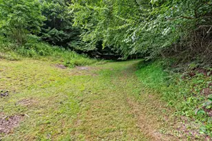 530 Rebel Ridge Rd, Marshall, NC 28753 - Photo 31