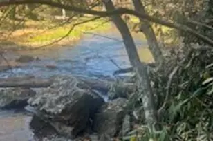 530 Rebel Ridge Rd, Marshall, NC 28753 - Photo 7