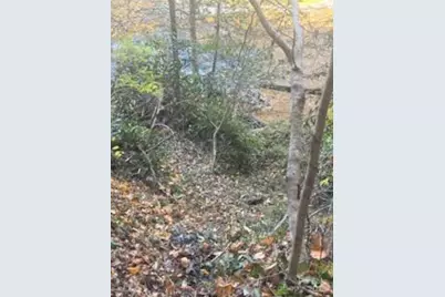 530 Rebel Ridge Road, Marshall, NC 28753 - Photo 45