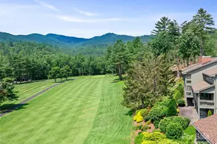 439 Fairway Ln, Spruce Pine, NC 28777 - Photo 21