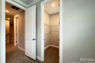 12046 Lavinia Ln, Charlotte, NC 28277 - Photo 27