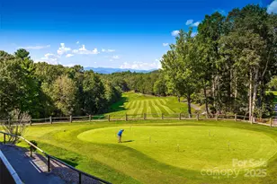 50 Duya Ct, Brevard, NC 28712 - Photo 41