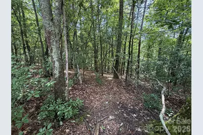 Tbd Pine Burr Drive #139, Purlear, NC 28665 - Photo 7