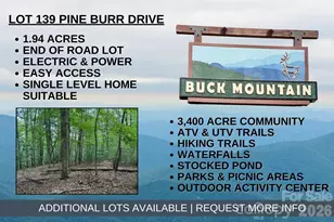Tbd Pine Burr Dr, Purlear, NC 28665 - Photo 1