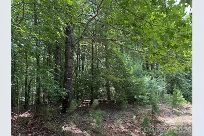 Tbd Pine Burr Drive #139, Purlear, NC 28665 - Photo 13