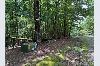 Tbd Pine Burr Drive #139, Purlear, NC 28665 - Photo 3