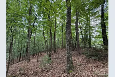 Tbd Pine Burr Drive #139, Purlear, NC 28665 - Photo 11