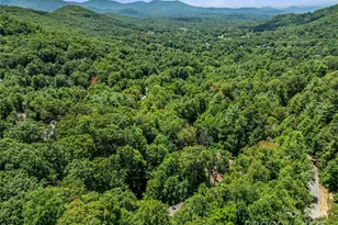 150 Sondley Pkwy, Asheville, NC 28805 - Photo 43