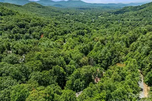 150 Sondley Pkwy, Asheville, NC 28805 - Photo 43