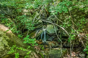 150 Sondley Pkwy, Asheville, NC 28805 - Photo 39