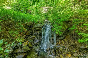 150 Sondley Pkwy, Asheville, NC 28805 - Photo 3