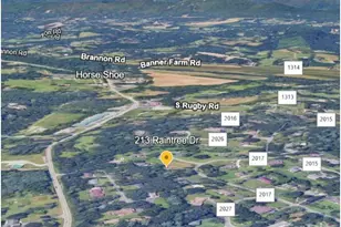 213 Raintree Dr, Hendersonville, NC 28791 - Photo 45