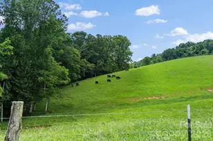 1045 & 1047 Graham Rd, Marshall, NC 28753 - Photo 29