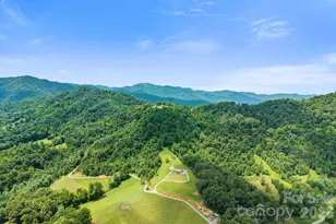 1045 & 1047 Graham Rd, Marshall, NC 28753 - Photo 43
