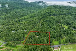 808 Old Fort Rd, Fairview, NC 28730 - Photo 39