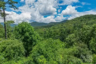 29 Grovepoint Way, Asheville, NC 28804 - Photo 1