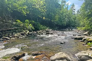 257 Henderson Dr, Hot Springs, NC 28743 - Photo 39