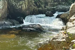 257 Henderson Dr, Hot Springs, NC 28743 - Photo 5