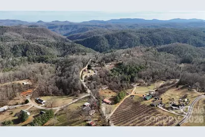 160 & 196 Dudley Drive, Flat Rock, NC 28731 - Photo 3