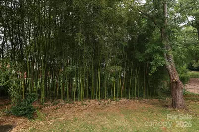 4350 Old Saybrook Court, Charlotte, NC 28211 - Photo 43