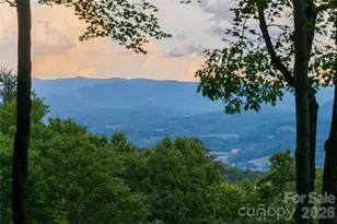163 Tweetys Knoll, Burnsville, NC 28714 - Photo 5