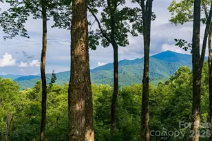 163 Tweetys Knoll, Burnsville, NC 28714 - Photo 13