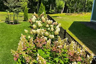 31 Cozy Cottage Wy, Arden, NC 28704 - Photo 31