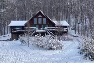 81 Garnet Dr, Leicester, NC 28748 - Photo 3