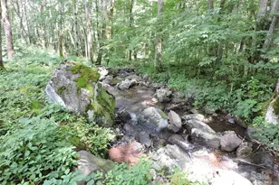 103 Chucks Ln, Bakersville, NC 28705 - Photo 37