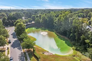 2723 Rozzelles Landing Dr, Charlotte, NC 28214 - Photo 41