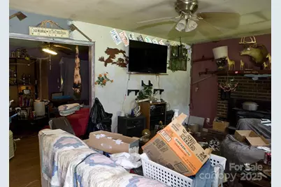 153 Moonshine Mountain Road, Burnsville, NC 28714 - Photo 3