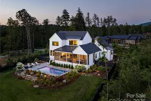 320 Flowering Vine Ct, Asheville, NC 28803 - Photo 43