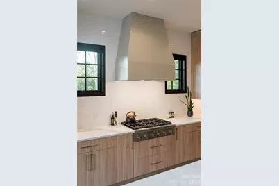 320 Flowering Vine Court, Asheville, NC 28803 - Photo 9