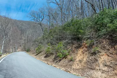 23 Winding Poplar Road #912, Black Mountain, NC 28711 - Photo 5