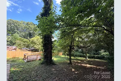 1969 Margate Avenue, Charlotte, NC 28205 - Photo 19