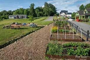 237 Westridge Farm Rd, Asheville, NC 28804 - Photo 13