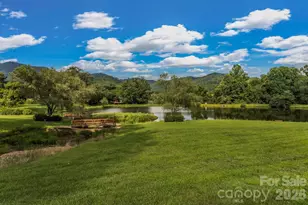 31 Mark Twain Rd, Asheville, NC 28805 - Photo 47