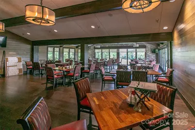 47 Tsitsi Court, Brevard, NC 28712 - Photo 43