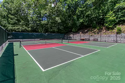 47 Tsitsi Court, Brevard, NC 28712 - Photo 41