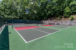 47 Tsitsi Ct, Brevard, NC 28712 - Photo 41