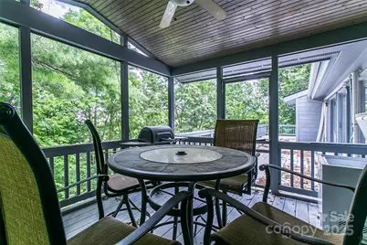 47 Tsitsi Court, Brevard, NC 28712 - Photo 27