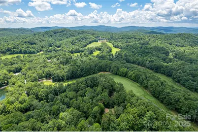 47 Tsitsi Court, Brevard, NC 28712 - Photo 39