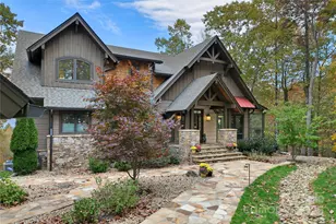 1291 Indian Camp Mountain Road, Rosman, NC 28772 - Photo 5